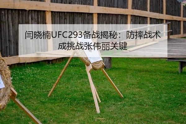yan-xiao-nan-bei-zhan-jie-mi-fang-shuai-zhan-shu-cheng-tiao-zhan-zhang-wei-li-guan-jian-2-169.jpg